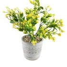 Succulent Wholesale Flower Pots Modern White Decorative Garden Flower Holder Flower Pot Succulent