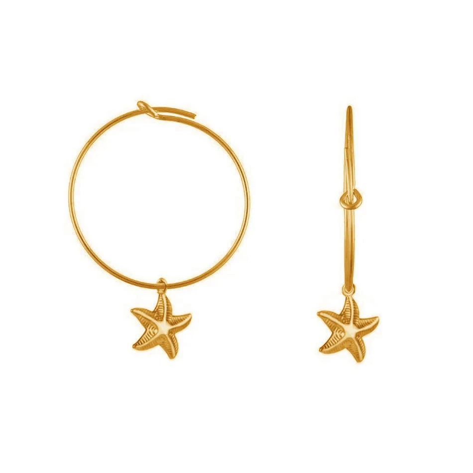 luxury jewelry 925 sterling silver 18k gold plated jewelry wholesale hoop earrings for women
luxury jewelry 925 sterling silver 18k gold plated jewelry wholesale hoop earrings for women