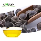 moringa oil bulk moringa oil price moringa oil extractor