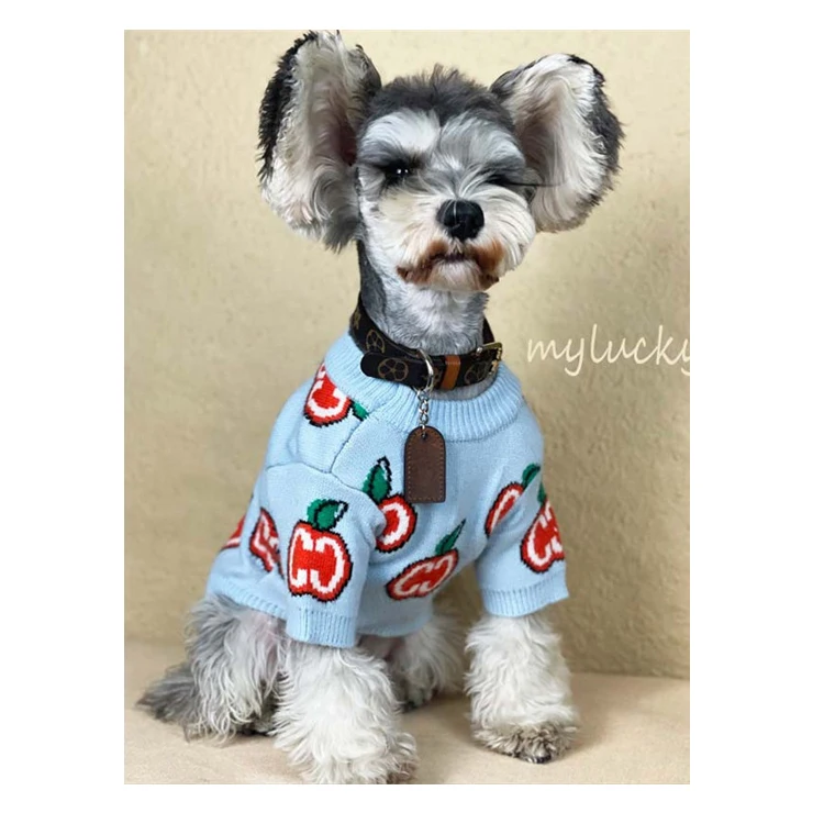 Designer Spring Fancy Cute Girl Dog Valentines knitted Sweater Pet Cats And Dogs Clothes, Blue
Designer Spring Fancy Cute Girl Dog Valentines knitted Sweater Pet Cats And Dogs Clothes, Blue