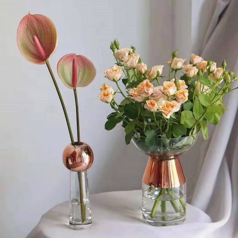Modern Nordic Light Luxury Glass Flowers Vase Decorative Transparent Ornaments Living Room Table Home Decorations, As photo
Modern Nordic Light Luxury Glass Flowers Vase Decorative Transparent Ornaments Living Room Table Home Decorations, As photo
