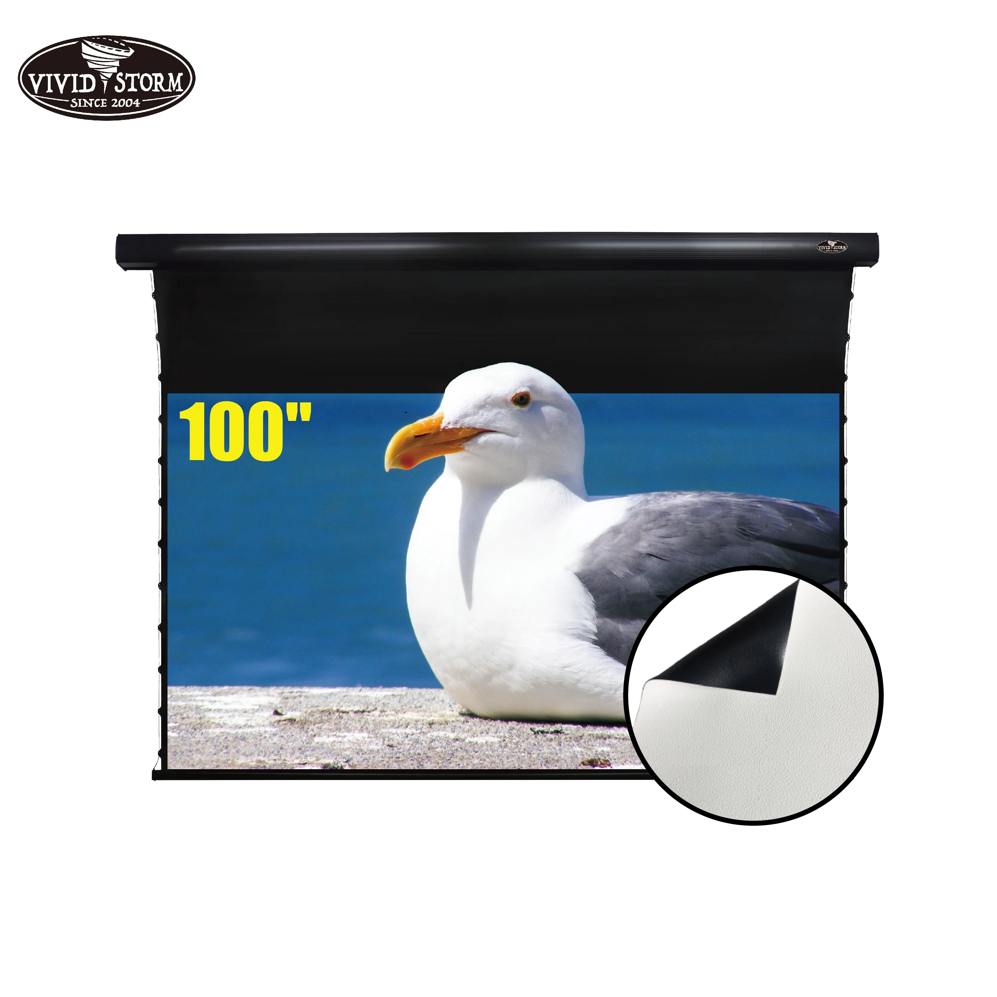 VIVIDSTORM 100 inch Slimline motor Tab-tensioned Drop Down Indoor Stand screen electric for normal throw projector tv projector
VIVIDSTORM 100 inch Slimline motor Tab-tensioned Drop Down Indoor Stand screen electric for normal throw projector tv projector