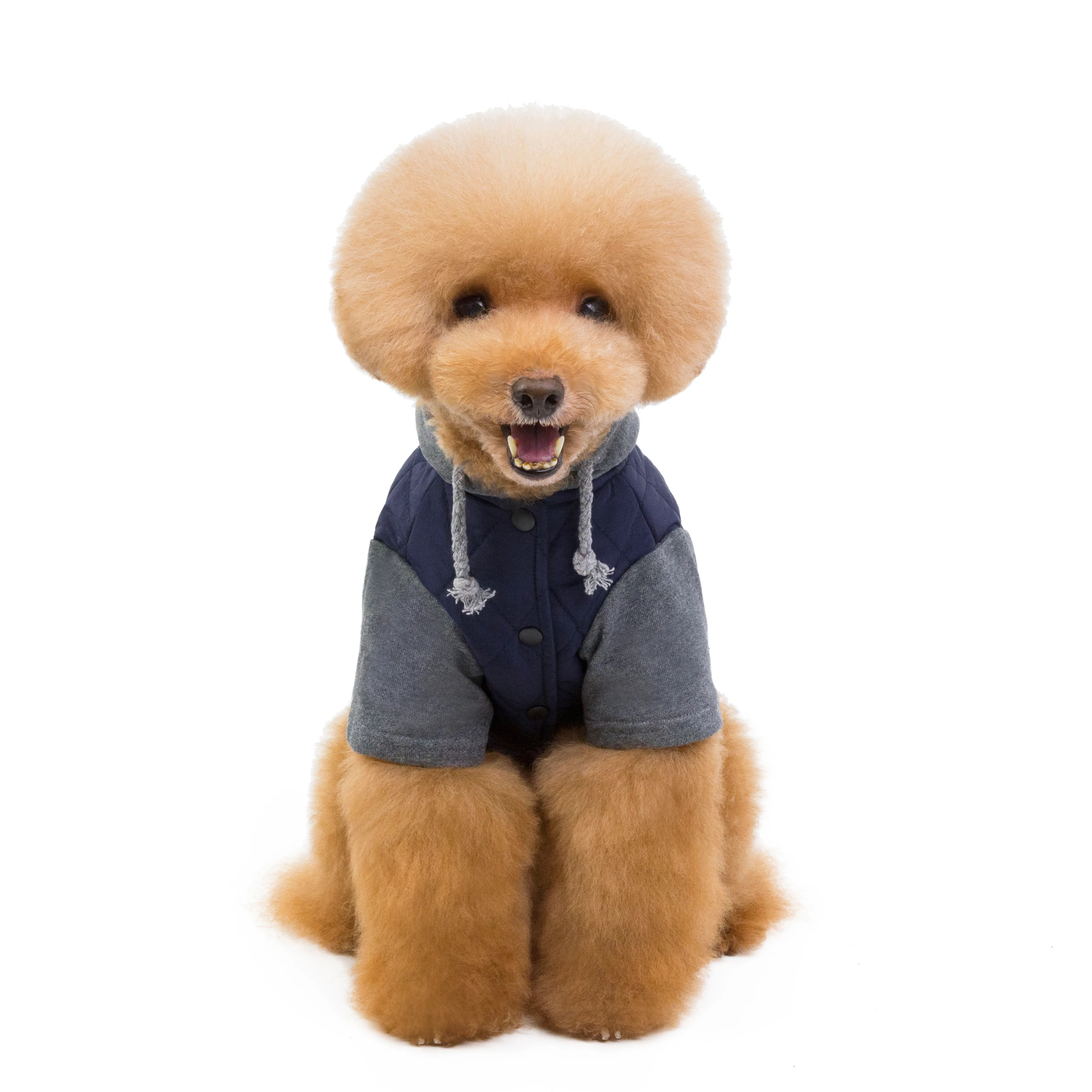 Winter Hoodie Wholesale Christmas Pet Dog Coats Outfits Pet Clothes Accessories Cotton Coat
Winter Hoodie Wholesale Christmas Pet Dog Coats Outfits Pet Clothes Accessories Cotton Coat