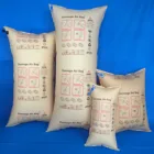 2020 NEW Kraft Paper Dunnage Bags for Cargo Protection