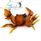 Silicone Road Bait 3D Simulation Crab Bait With Hook Sea Fishing Bait Tackle Soft Lure