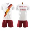 /product-detail/free-shipping-to-roma-new-season-jersey-2020-cheap-soccer-uniform-maillot-de-foot-62260795671.html