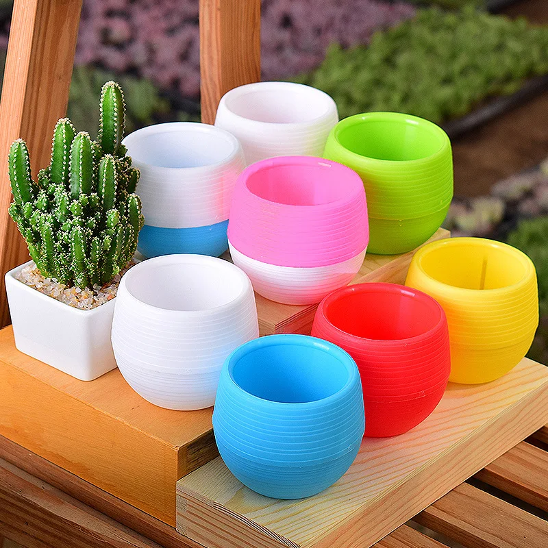Mini Flower Pots Colourful Round Plastic Plant Flower Pot planters for succulents Decor Plants Desktop Flower Pots
Mini Flower Pots Colourful Round Plastic Plant Flower Pot planters for succulents Decor Plants Desktop Flower Pots