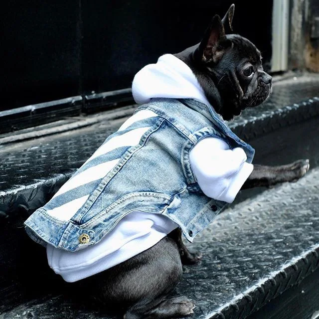 New Designers Dog Clothes Hot Sale Dog Jeans Jacket Rompers Jeans Pants With Strap Pet Cowboy Vest Dog Clothes Luxury
New Designers Dog Clothes Hot Sale Dog Jeans Jacket Rompers Jeans Pants With Strap Pet Cowboy Vest Dog Clothes Luxury