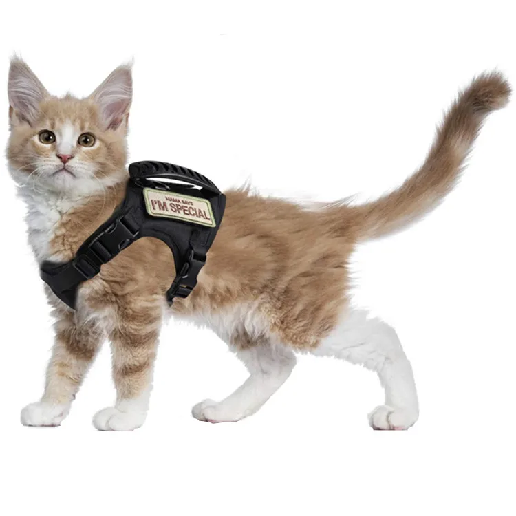 Tactical Cat Harness for Walking Escape Proof, Soft Mesh Adjustable Pet Vest Harness for Large Cat and Small Dog, Khaki/black
Tactical Cat Harness for Walking Escape Proof, Soft Mesh Adjustable Pet Vest Harness for Large Cat and Small Dog, Khaki/black