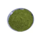 Top Grade Moringa Oleifera Leaf Powder for Professional Moringa leaf powder buyers