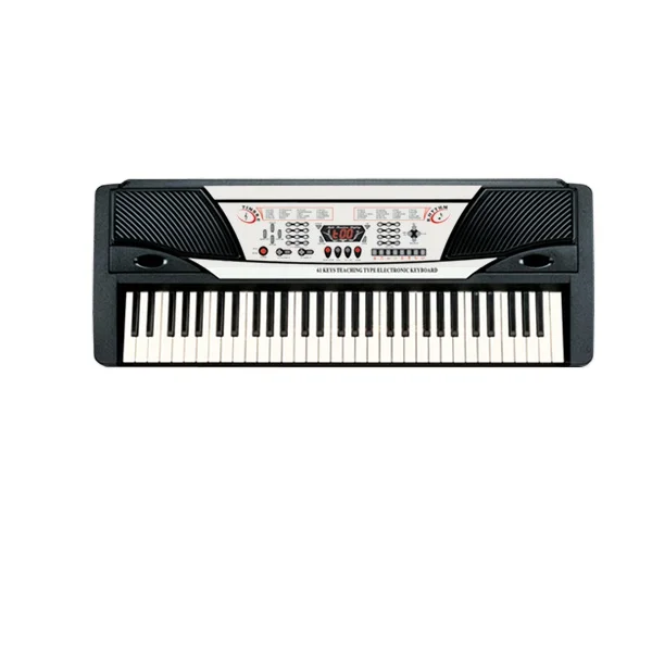 Hot selling Musical electronic organ keyboard/54 keys electronic organ keyboard