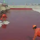 Red color polyurethane waterproof coating high tensile