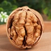 Xingjiang Light Colour Leatheroid Walnuts in shell