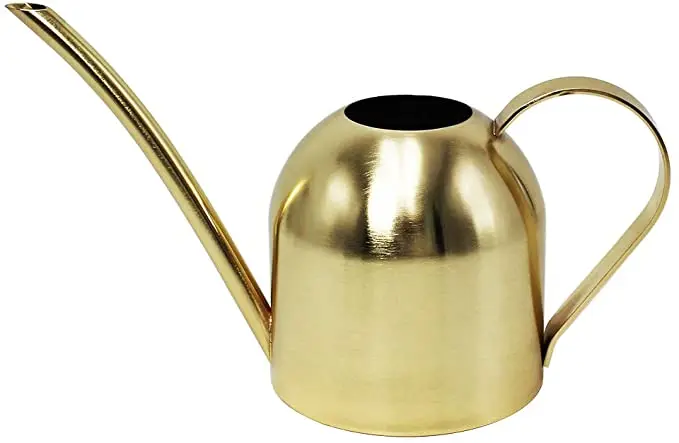 51ogVmpJKHL._AC_SX679_.jpg