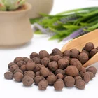 Supply Hydroponic Expanded Rocks and clay pebbles for potted plant