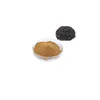 Runyu supply psoralea corylifolia extract psoralea corylifolia seed extract psoralea corylifolia extract powder