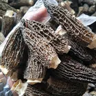 Black Morchella Mushroom Dried Morchella Morel Mushroom