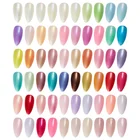 2020 hot summer new product sea shell gel uv gel nail polish