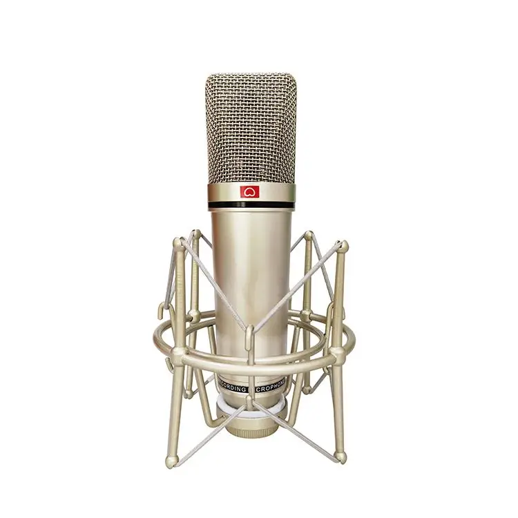 Studio recording mic with shock mount condenser microphone U87 for YouTube live broadcast
Studio recording mic with shock mount condenser microphone U87 for YouTube live broadcast