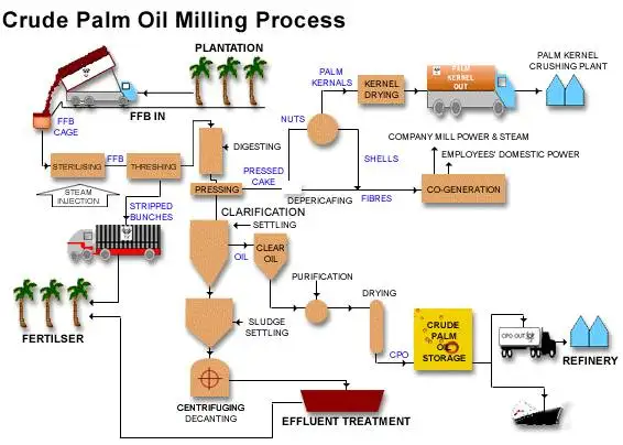 1-200TPH palm oil mill twin screw oil press plant