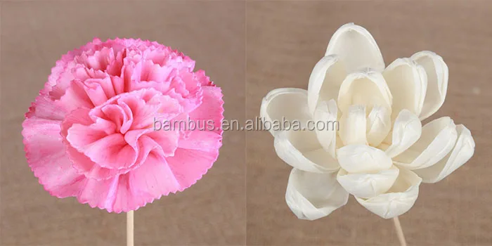 sola flower1.jpg