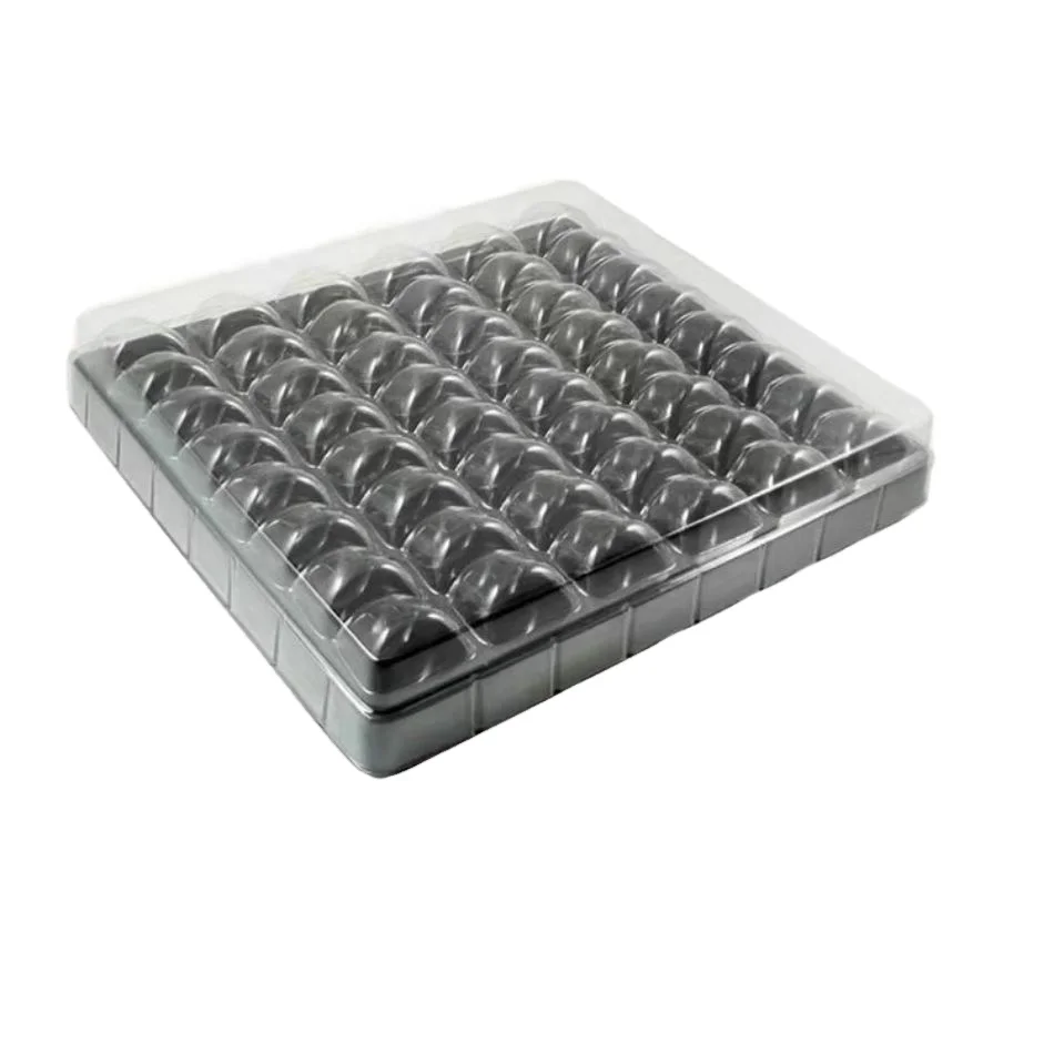 food grade clear Cavity cookie PET inserted box blister plastic chocolate packaging tray with  lids