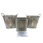 Metal Flower Pots Wholesale Custom Indoor Decor Plating Metal Flower Pots From China