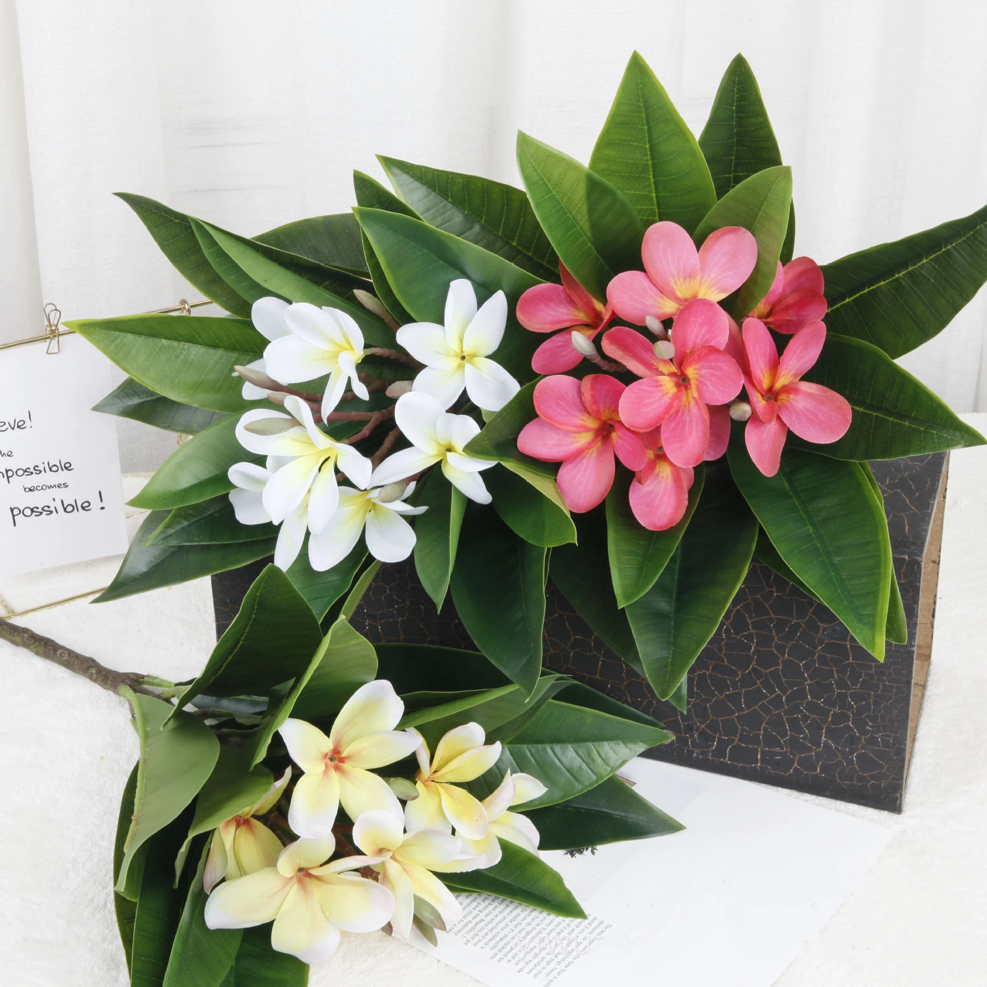 Wall Flower Panel Decoration Artificial Silk Flower Wall Backdrop Silk Frangipani Flower for Home Decor
Wall Flower Panel Decoration Artificial Silk Flower Wall Backdrop Silk Frangipani Flower for Home Decor