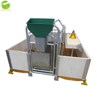 popular adjustable farrowing pen for sow farrowing crate for pigs