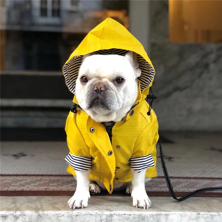 High Quality Yellow Large Dog Zipper Jacket Coats Pet Hoodie Outfits Customized Dog Clothes, Customized color
High Quality Yellow Large Dog Zipper Jacket Coats Pet Hoodie Outfits Customized Dog Clothes, Customized color