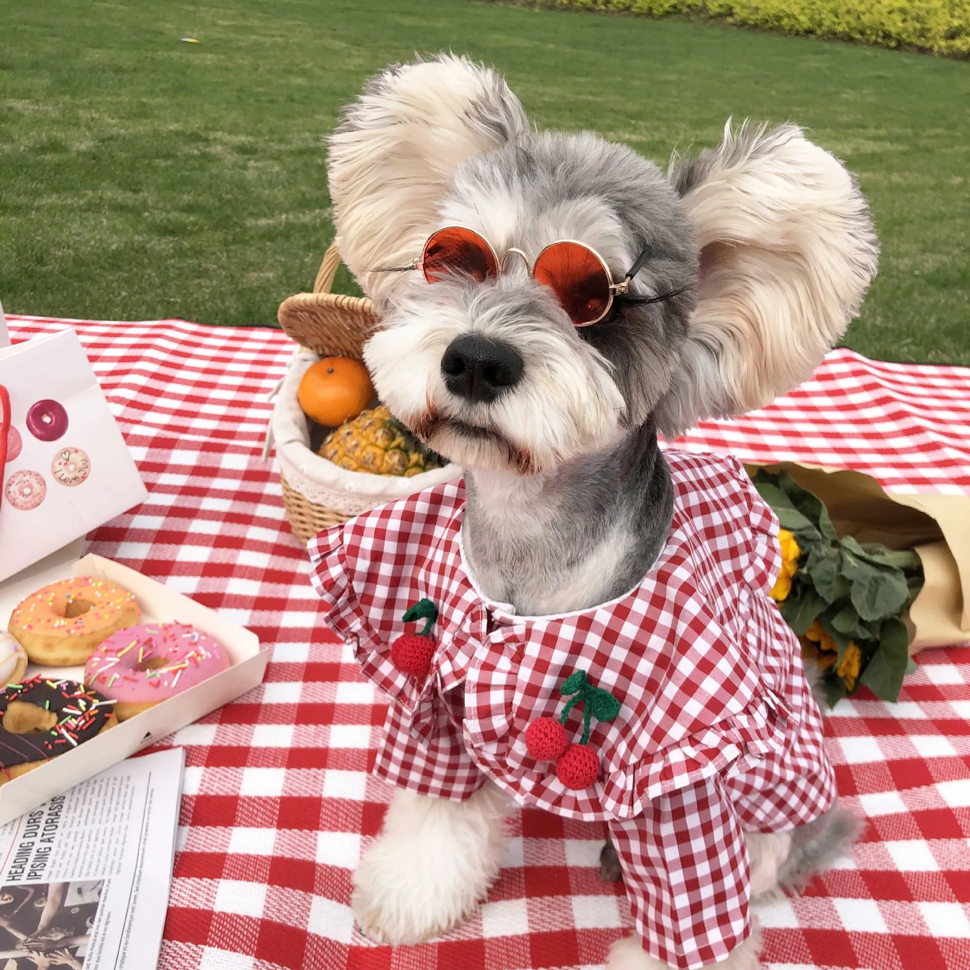 Summer Thin Shirt Trendy Grid Style Short-sleeved Small Dog Teddy Schnauzer Corgi Bomei Pet Clothes Fashion Pet Clothing
Summer Thin Shirt Trendy Grid Style Short-sleeved Small Dog Teddy Schnauzer Corgi Bomei Pet Clothes Fashion Pet Clothing