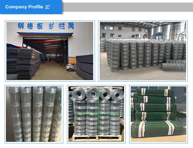 Widely application hot galvanized hinge joint knot field fence