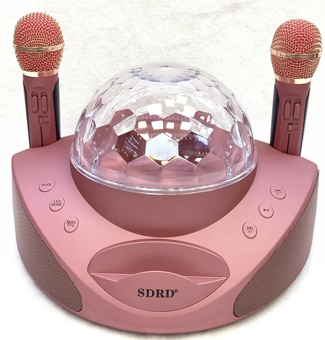 Cheap Price2 in 1 Family KTV Portable Wireless Live Dual Microphone system Bluetooth Speaker(Gold) japan - ANKUX.COM