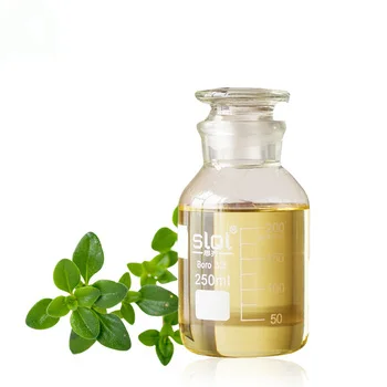 100% Pure Natural Origanum Oil Wholesale High-quality Extracted Essential Oils For Massage And Emollients
100% Pure Natural Origanum Oil Wholesale High-quality Extracted Essential Oils For Massage And Emollients