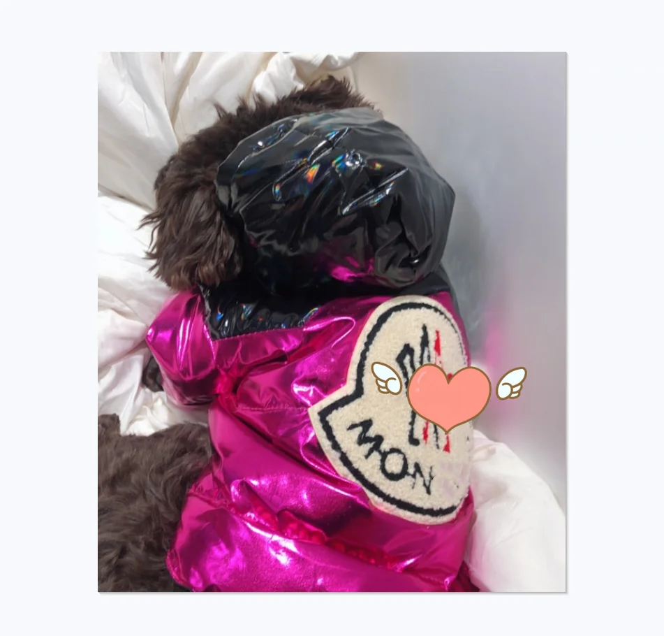 Classic Designer Super Good Quality Autumn Winter Pet Down Jacket Brand Dog Winter Jacket
Classic Designer Super Good Quality Autumn Winter Pet Down Jacket Brand Dog Winter Jacket