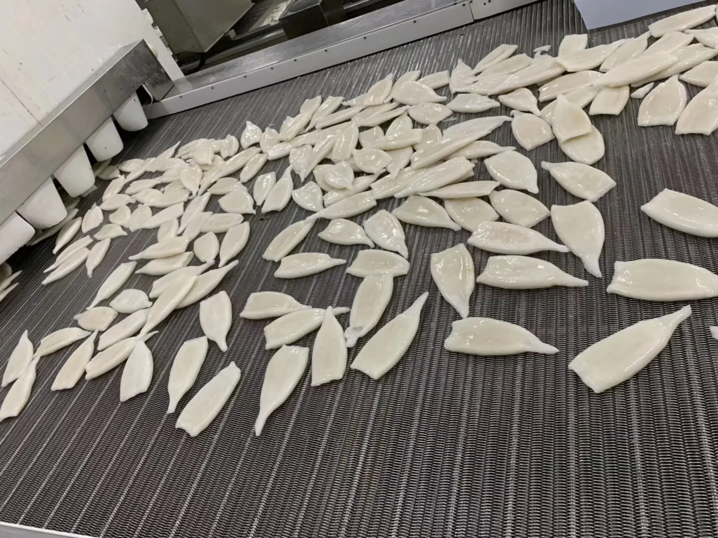 Frozen squid 8.jpg