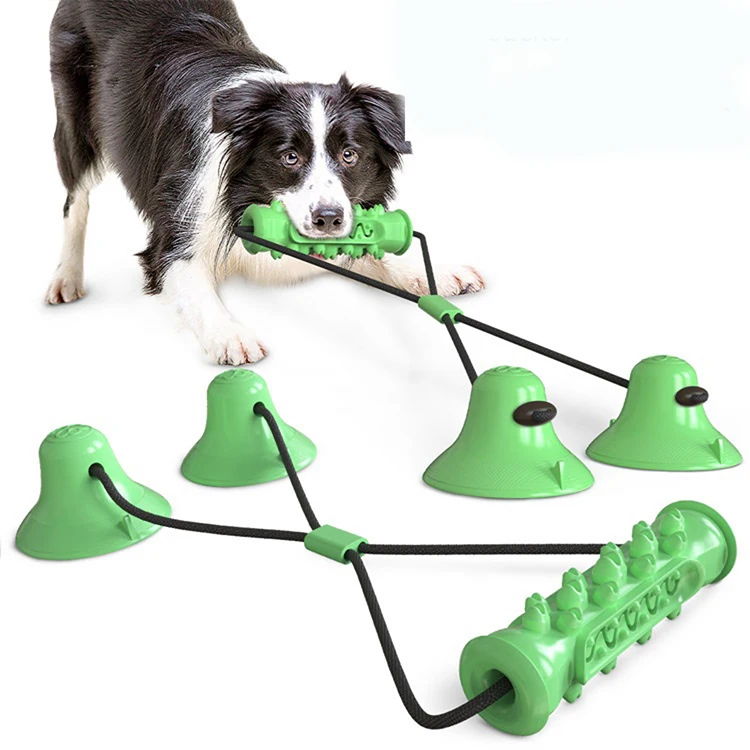 Combination Set Pet Travel Dog Ball Set Cotton String Bite Toy Dog Molar Toy Accessories Dog Products
Combination Set Pet Travel Dog Ball Set Cotton String Bite Toy Dog Molar Toy Accessories Dog Products