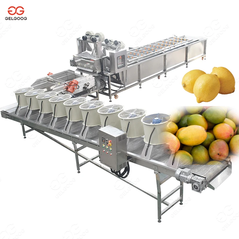 Ce Approved Electric Cherry Pepper Strawberry Date Plam Bean Sprout Dryer Cleaning Equipment Fruit And Vegetable Washing Line