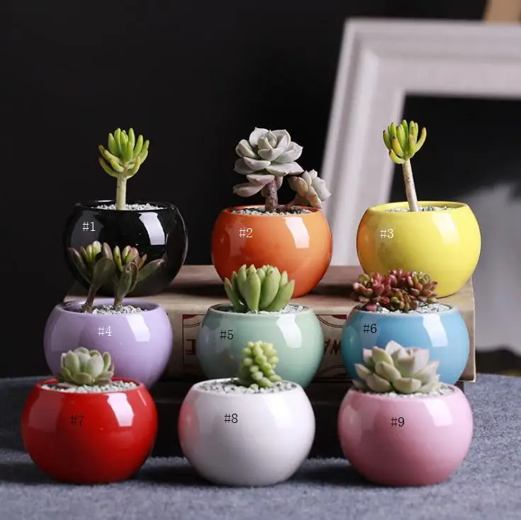 9 Colors Ceramic Pots Succulents Flower Pot Small Ball Round White Porcelain White Color Mini Creative
9 Colors Ceramic Pots Succulents Flower Pot Small Ball Round White Porcelain White Color Mini Creative