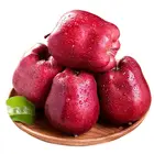 New Chinese Fresh Style Pome Fruit Product Type Red Huaniu apple