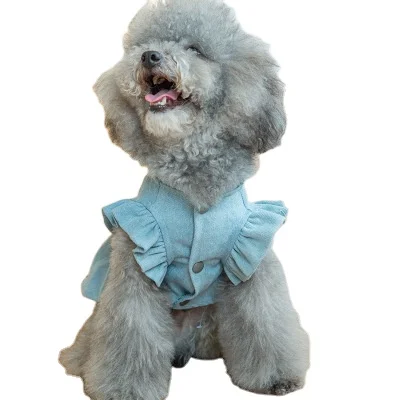 2021 Spring Pet Bubble Sleeve Embroidered Denim Skirt Summer Breathable Dog Cute Skirt Pet Clothes, Blue
2021 Spring Pet Bubble Sleeve Embroidered Denim Skirt Summer Breathable Dog Cute Skirt Pet Clothes, Blue