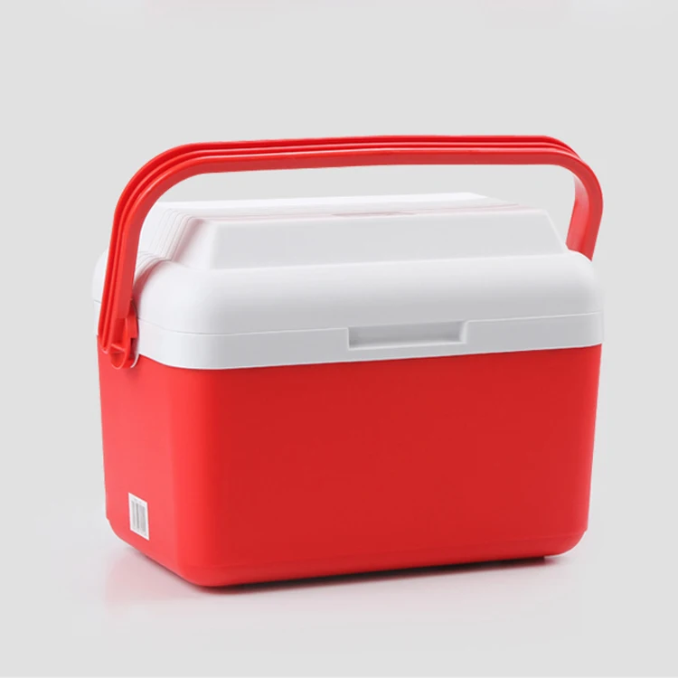 2019 GINT 8 liter mini fish camping cool box, Customized
2019 GINT 8 liter mini fish camping cool box, Customized