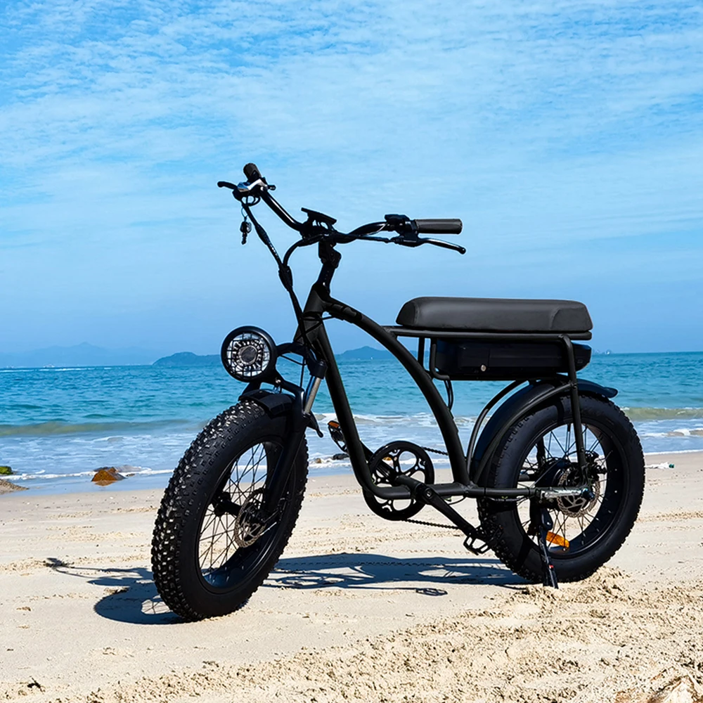 long range beach Hybrid ebike 48v 1000w cargo electric bike Fat Tire electric city bike with basket, Customized color
long range beach Hybrid ebike 48v 1000w cargo electric bike Fat Tire electric city bike with basket, Customized color