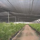 Anti Net Hdpe Insect Net 100% HDPE Raw Material Greenhouse Shade Anti Insect Net