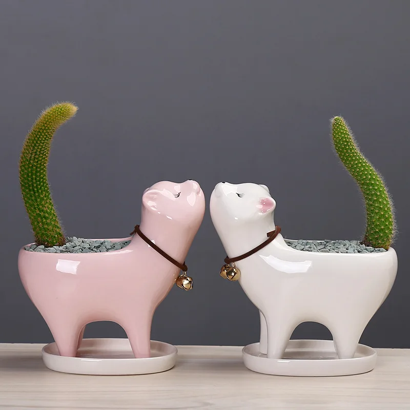 Cat tail succulent cactus ceramic flowerpot cartoon lovely personality ornaments pots
Cat tail succulent cactus ceramic flowerpot cartoon lovely personality ornaments pots