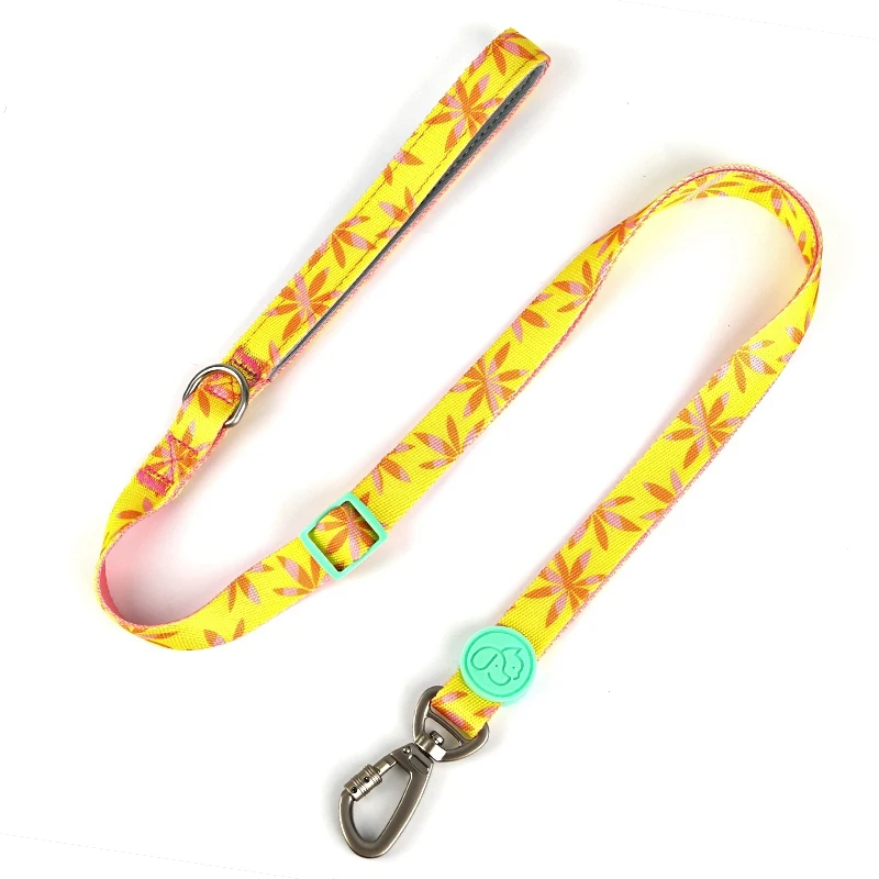 Pet shop dog necklace Custom training collar pet harness manufacturer neoprene dog leash and collar set, 4 colors
Pet shop dog necklace Custom training collar pet harness manufacturer neoprene dog leash and collar set, 4 colors