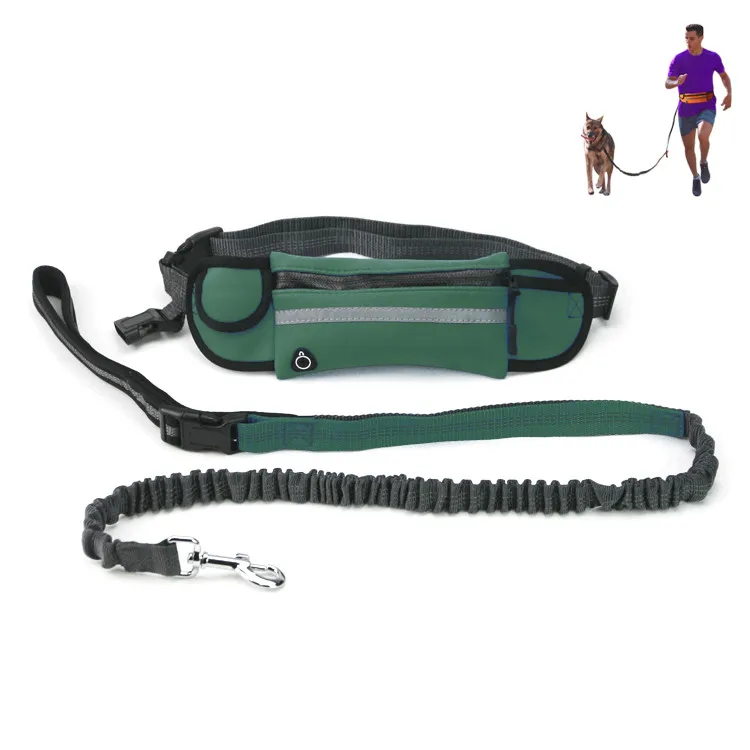 High Quality Reflective Outdoor Bungee Hands Free Jogging Runner's Choice Free Pet Dog Leashes
High Quality Reflective Outdoor Bungee Hands Free Jogging Runner's Choice Free Pet Dog Leashes