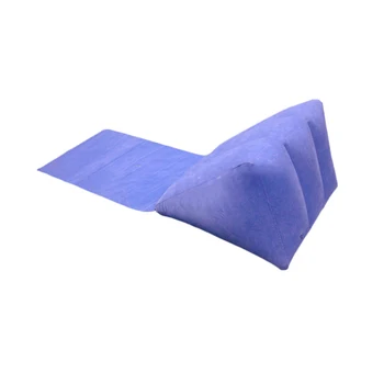 Purple Outdoor Beach Inflatable Wedge Pillow For Travel View