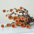 Flower Flowers Globe Thistle Preserved Flower Natural Home Party Wedding Decorations China Yunnan Factory Batch Shipment
