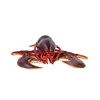 /product-detail/garden-decor-incredible-creatures-maine-lobster-custom-resin-realistic-maine-shrimp-lobster-anime-figure-toys-62325043757.html